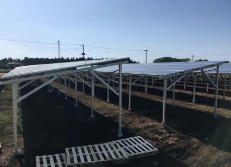 Sistema fotovoltaico agrícola de 1,2 MW